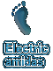 Electric amidas